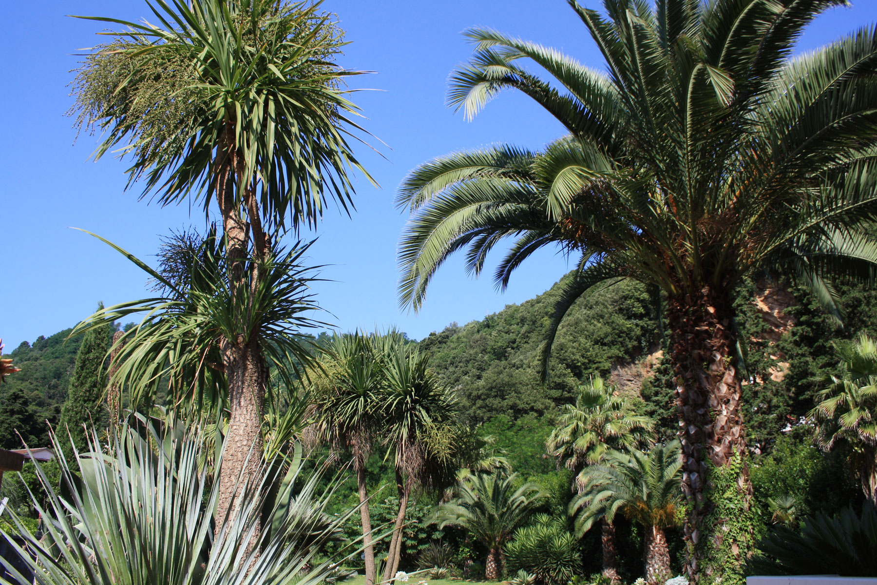 Botanic Garden La Musa - Lerici - Italy - rooms and apartments