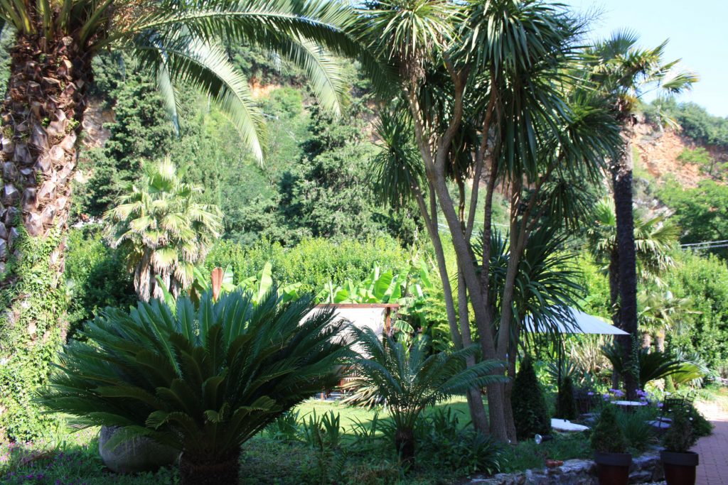 Botanic Garden La Musa - Lerici - Italy - rooms and apartments